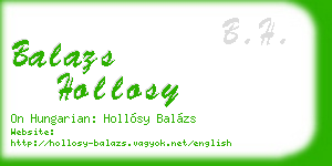 balazs hollosy business card