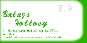 balazs hollosy business card